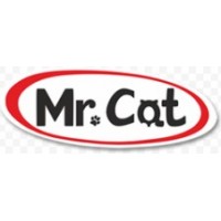 Mr. Cat (Мистер Кэт)