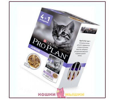 Влажный корм для котят ProPlan, индейка и говядина, (85х5) г. Акция 4+1!