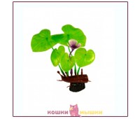 Растение для декора аквариума Лилия с цветком BARBUS Plant 013/10, 10 см