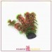 Растение для декора аквариума Кабомба Красная BARBUS Plant 033/10 , искусственное с утяжелителем, 10 см